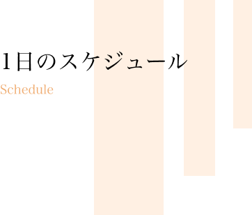 1日のスケジュール